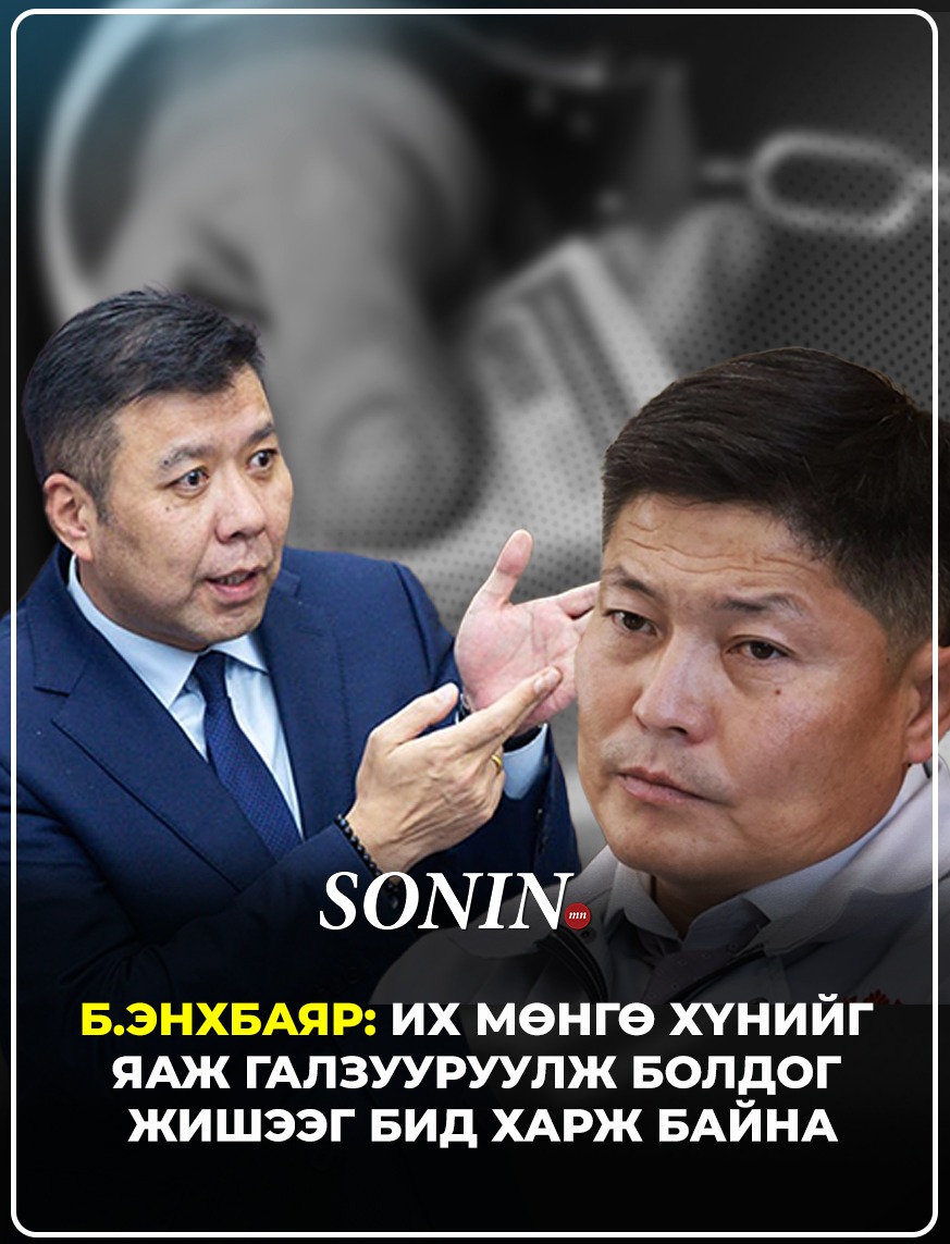 sonin.mn
